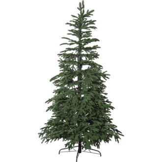 Weihnachtsbaum Edane