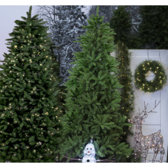 Weihnachtsbaum Minnesota